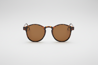 Leopard with brown lenses