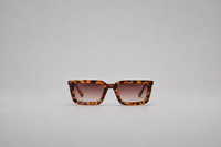 Tortoiseshell with gradient brown lenses