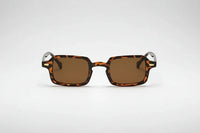 Leopard with brown lenses